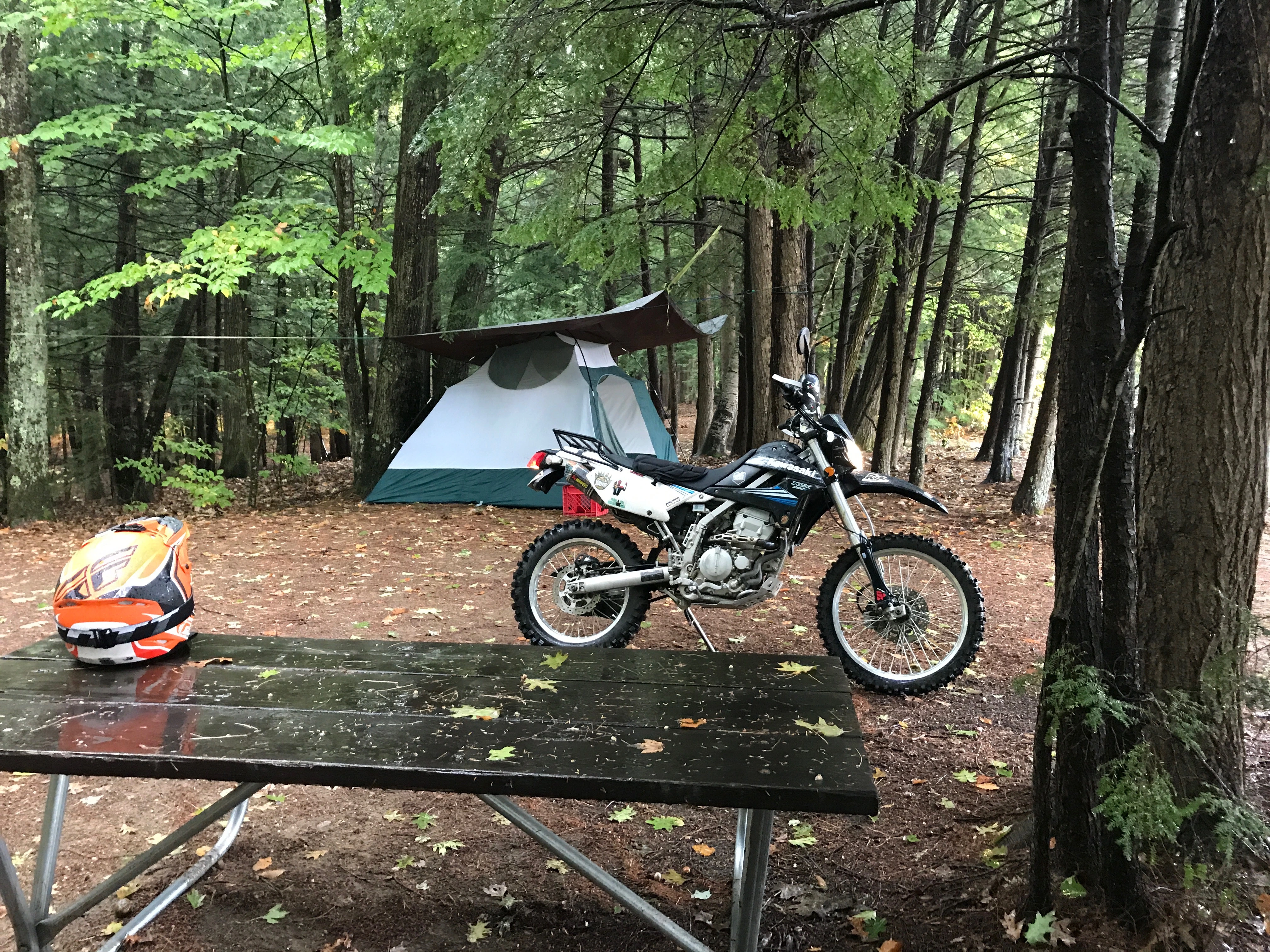 Camping trip
